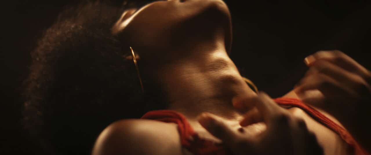 Ganadores del 20° FESAALP